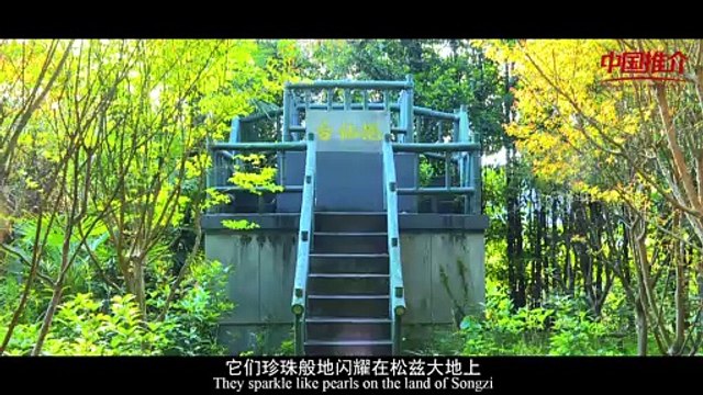 《中国推介•乡村振兴》：安徽省 宿松县 China Recommendation•Rural Revitalization： Anhui Province Susong County