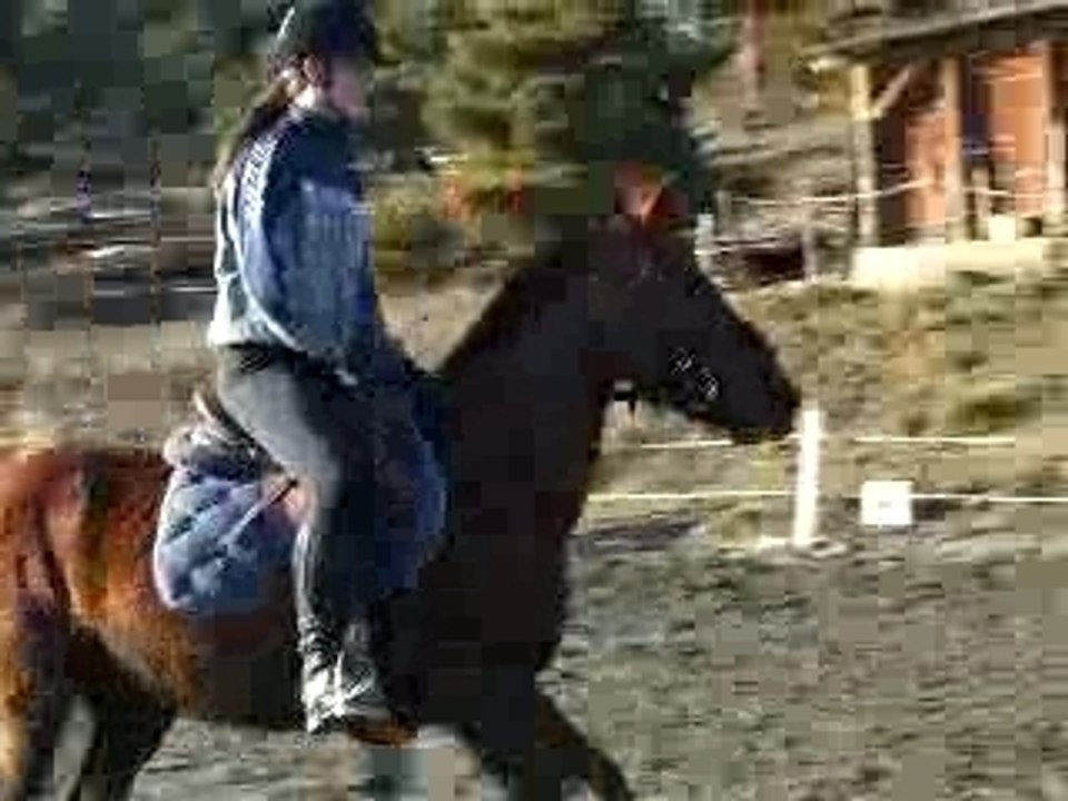 Gaïla et moi saut d'obstacle