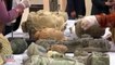 Dozens of Smuggled Artifacts Are Returned to Afghanistan