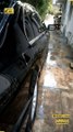 BMW 540i Ceramic Coating And Exterior, Interior Car Detailing In Islamabad
