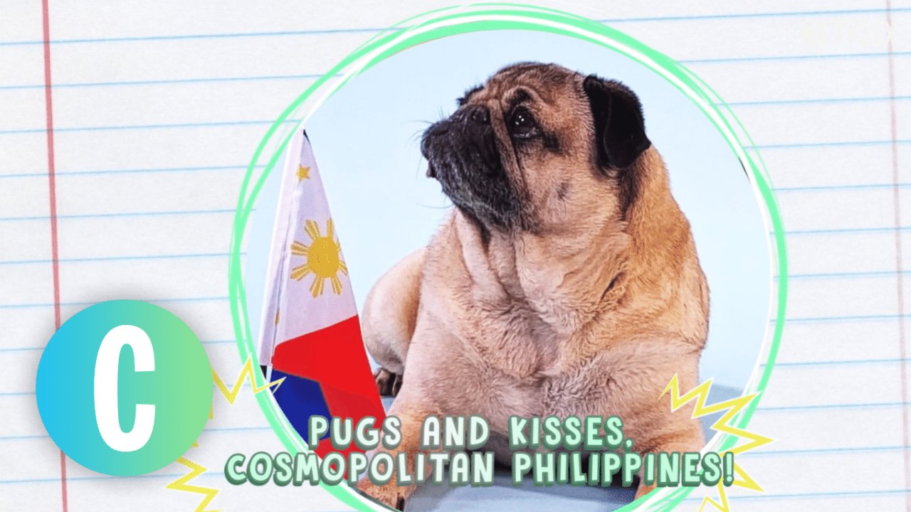 Doug The Pug Greeting For The Mitchells Vs. The Machines