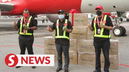 Harumanis mangoes winging their way to Sabah again