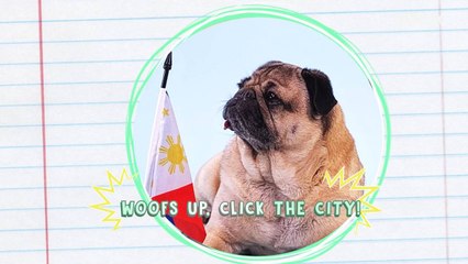 Catch Celebrity Dog It's Doug The Pug in Netflix's The Mitchells vs. The Machines