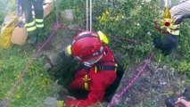 Precipita in un pozzo profondo 26 metri: salvata una capra dai Vigili de fuoco nel Salento - VIDEO