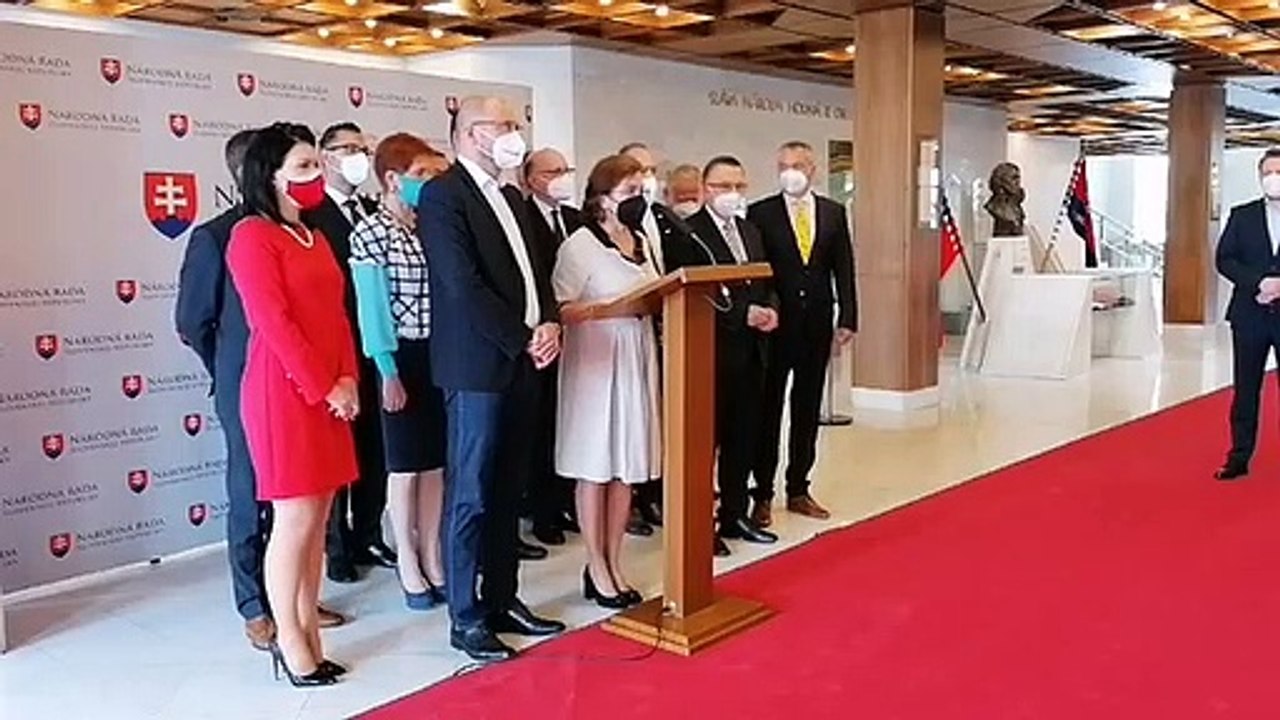 ZÁZNAM: Brífing strany SaS