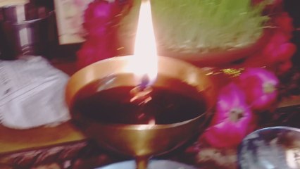 Bhajan Diary (10) - Teri baan ganga ch lavaan taarian Maiya Ji Mera Dila Karda