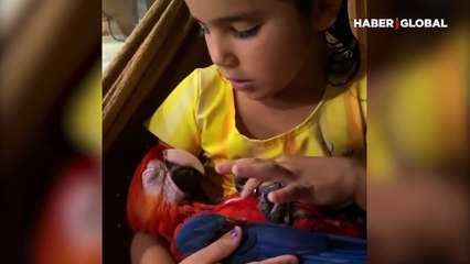 Şarkı söyleyerek papağanı uyutan küçük kız gülümsetti