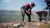 شاهد: نفوق أطنان من الأسماك في بحيرة القرعون الملوثة في لبنان