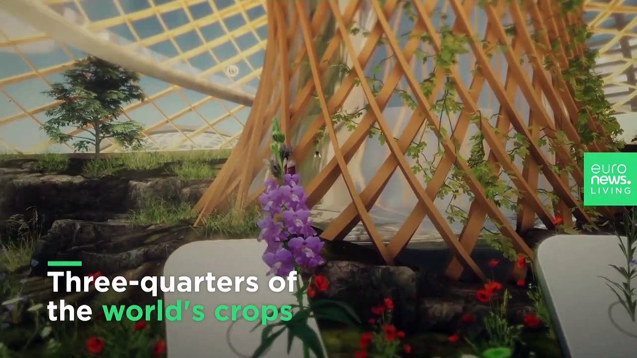 This VR experience imagines a future without vital pollinators