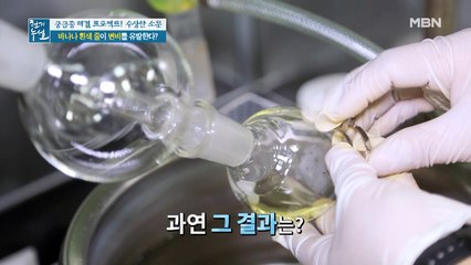 바나나의 영양소는 어디에 많을까? 바나나 성분 분석 실험