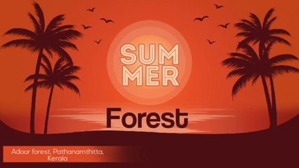 Summer place in Kerala # Kerala forest