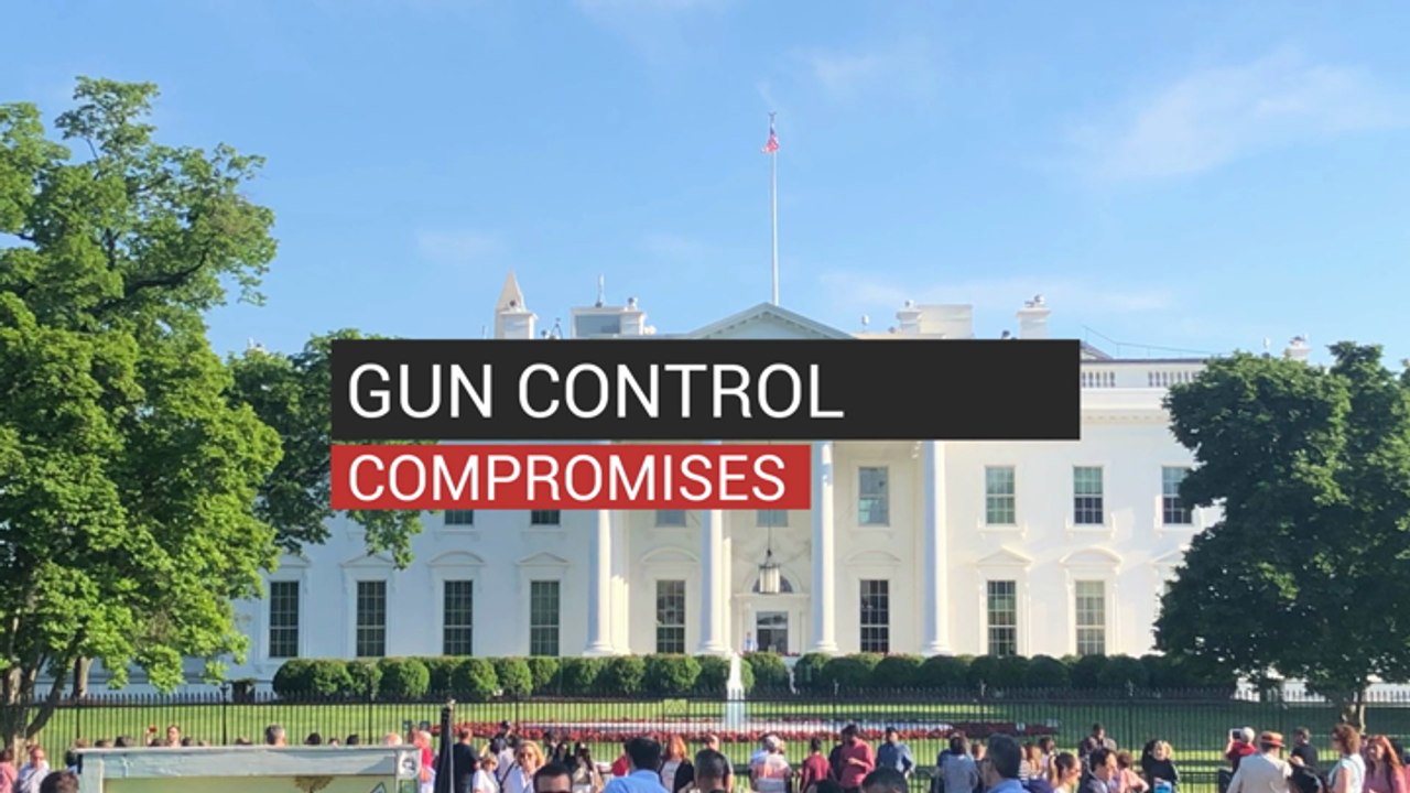 Gun Control Compromises