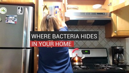 Where Bacteria Hides In Your Home