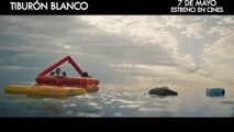 Tiburón blanco - Spot
