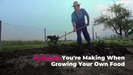 Mistakes You're Making When Growing Your Own Food