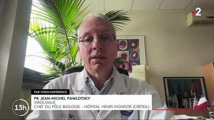 Covid-19 : des premières contaminations au variant indien en France