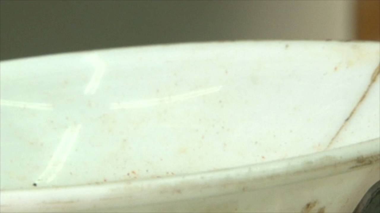 It's Not Easy Buying Beans, Even in Vanilla-Loving Oaxaca