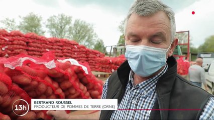 Orne : un agriculteur organise une grande braderie de pommes de terre pour écouler son stock