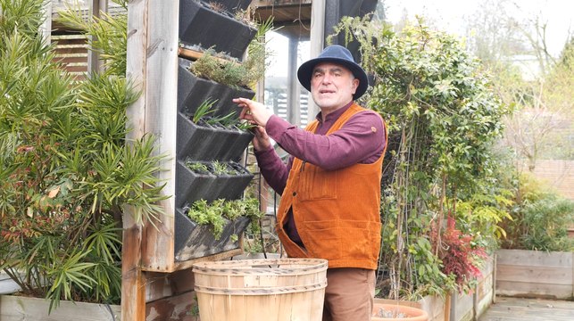 Comment aménager un mur végétal avec des plantes aromatiques ?