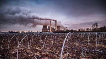 Decoding Green Terminology: What Do 'Carbon Neutral,' 'Carbon Negative,' and 'Net-Zero' Really Mean? 🌱