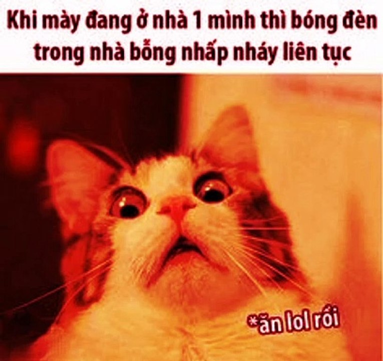 Sợ quá 