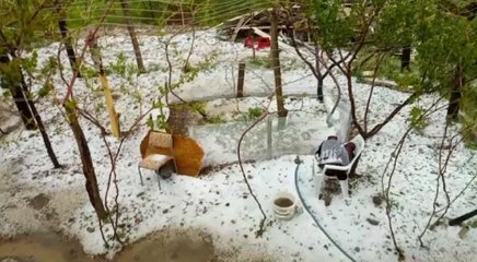 ELAZIĞ'DA DOLU YAĞIŞI; TARIM ARAZİLERİ ZARAR GÖRDÜ