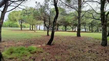 Nicole Bartoli, représentante du GNSA du Biterrois.''Nous occuperons le terrain si nécessaire''