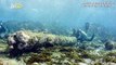 200-Year-Old Shipwreck Found by Archaeologists in Caribbean!
