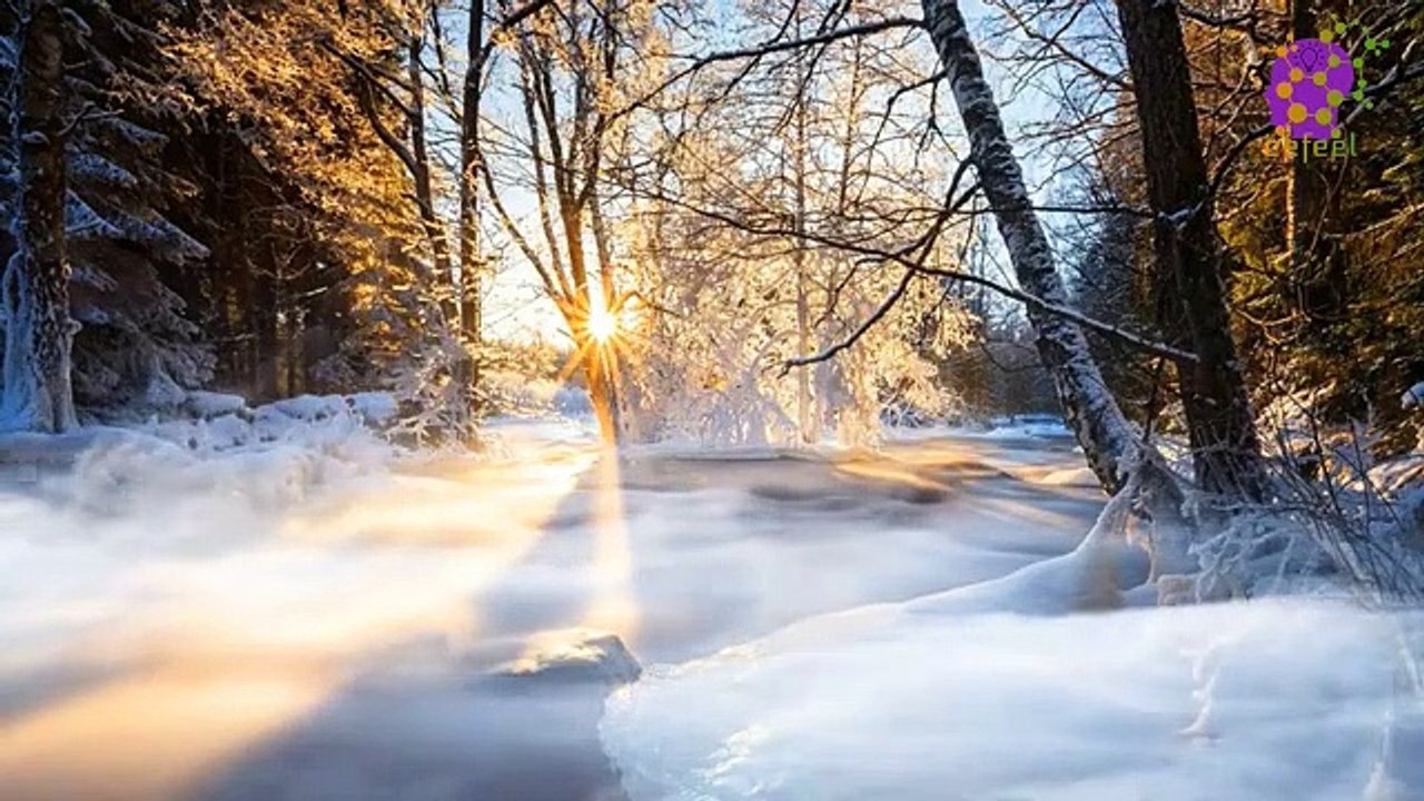 15 Minute Deep Soothing Music for Sleep | Focus | Concentration | Stress-Relief | Relaxing | Calming | Peaceful | Positive Energy | Joyful | Anti-Depression