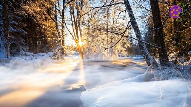 15 Minute Deep Soothing Music for Sleep | Focus | Concentration | Stress-Relief | Relaxing | Calming | Peaceful | Positive Energy | Joyful | Anti-Depression