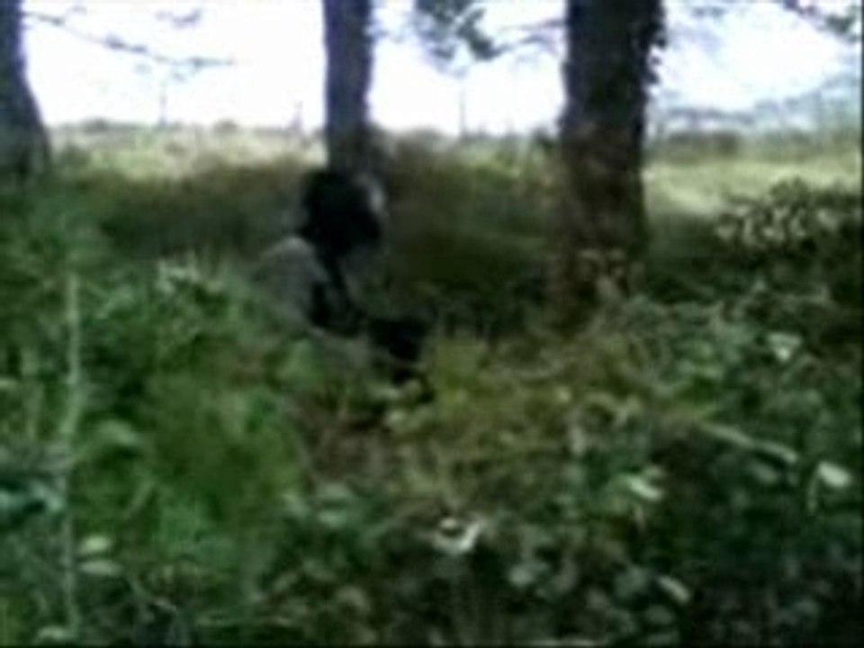 Vidéo airsoft à Ryes 24.02.08