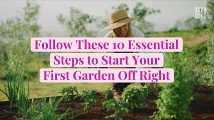Follow These 10 Essential Steps to Start Your First Garden Off Right
