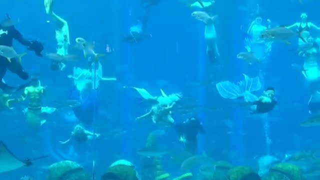 Récord Guinness para el mayor espectáculo de sirenas bajo el agua