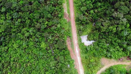 Amazônia emitiu mais carbono do que absorveu