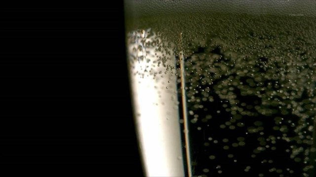 Oregon Sparkling Wines That Rival Champagne