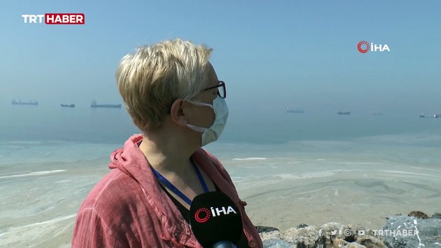 Marmara'da 'deniz salyası' istilası