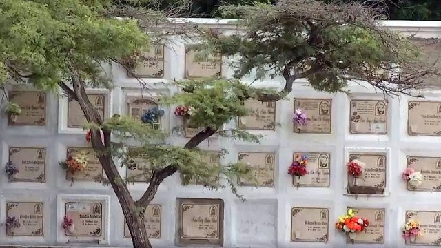 Murieron por covid, tenían el mismo nombre y fueron entregadas a familias distintas