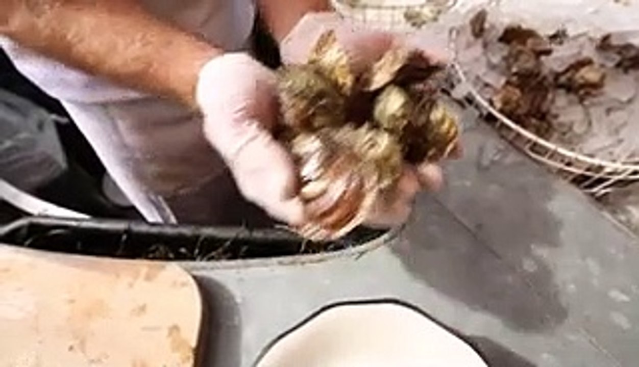 Why we eat oysters alive