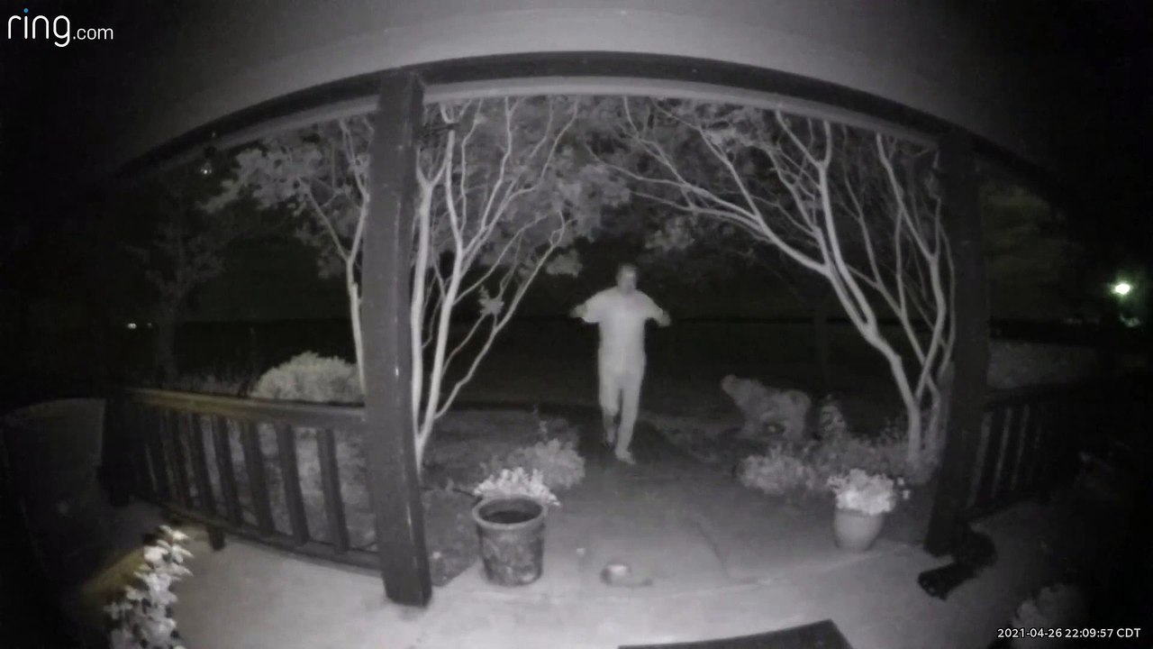 Guy Unknowingly Steps Over Rattlesnake in Close Call