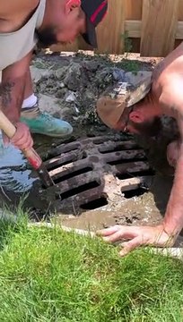 Ducklings Rescued and Reunited with Mama Duck
