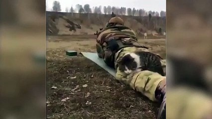 Talim yapan Mehmetçiğe davetsiz misafir