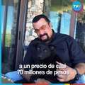Steven Seagal pone a la venta su vivienda a prueba de balas