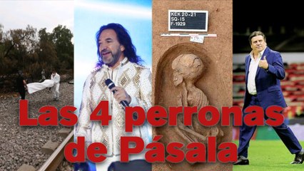 ¡AQUÍ ESTÁN LAS CUATRO PERRONAS DE PÁSALA!