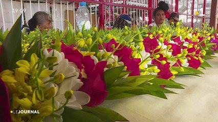 Retour des touristes, les artisans du marché mitgés