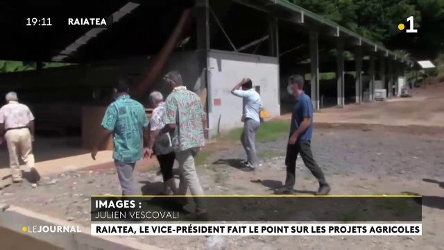 Les filières agricoles de Tahaa et Raiatea méritent d’être revalorisées