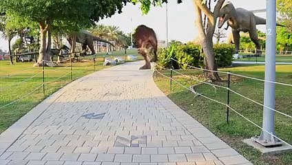 شفا و كمامة الوجه _ _ Shfa and face mask