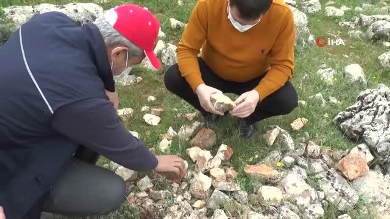 Adıyaman'da "milyonlarca yıl öncesine ait balık dişleri" bulundu