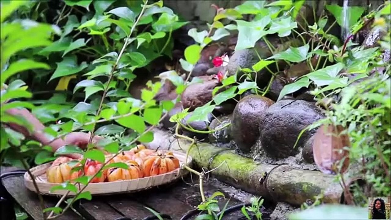 A buddy who cures hearts - Gambooge  - The nature girl -