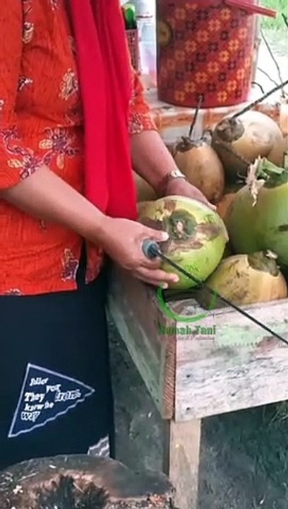 Cewek Kupas Kelapa Hebat