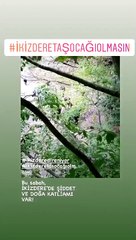 Rize'de taş ocağı istemeyen bölge sakinlerine gözaltı